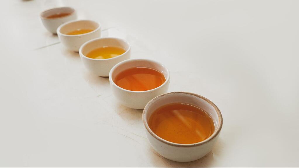Darjeeling tea tasting