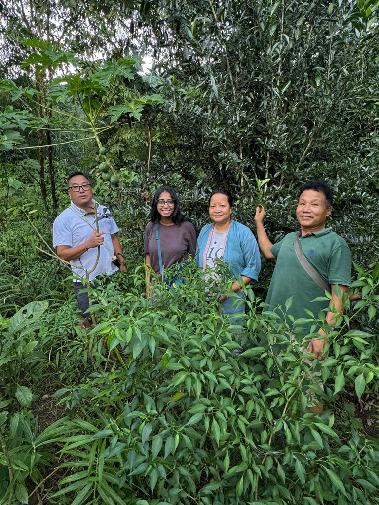 A guide to the wondrous Indigenous Tea Practices of India