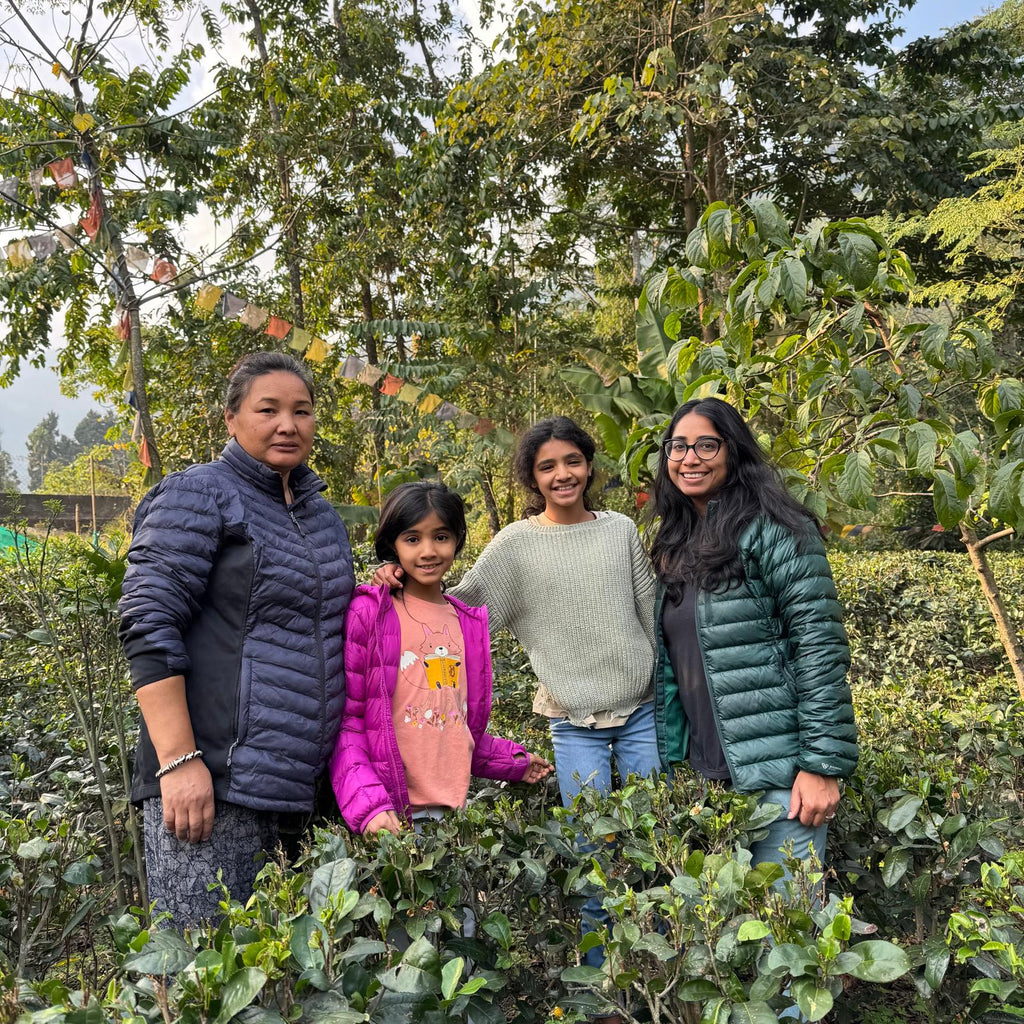 How I fell deeper into the world of tea