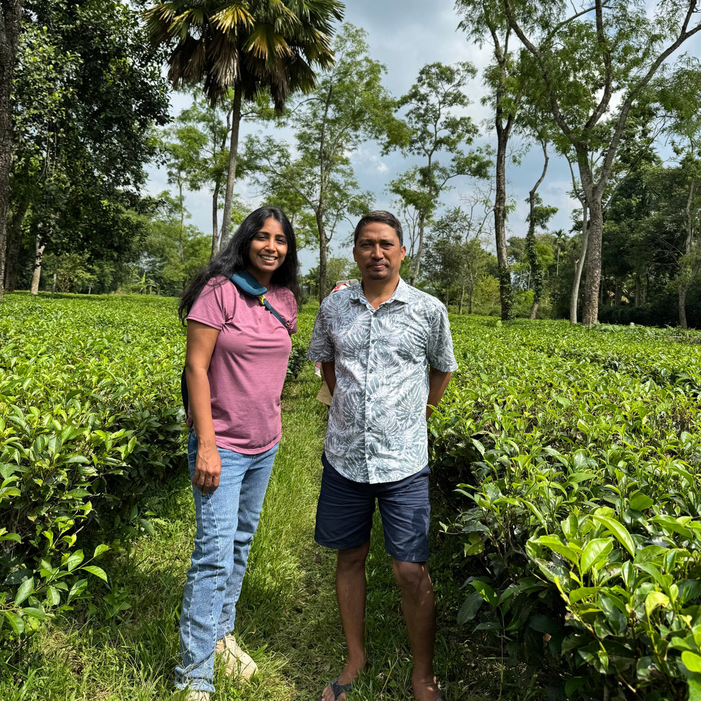 Teas from Sailen Phulkan, a small tea producer in Assam