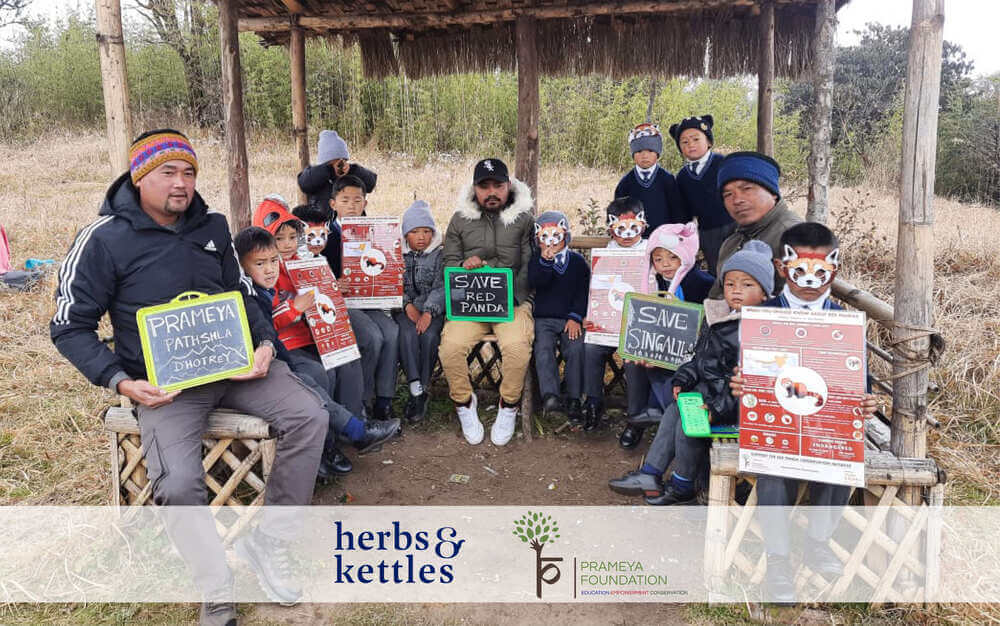 Herbs & Kettles X Prameya Foundation Red Panda Conservation Initiative - Herbs & Kettles