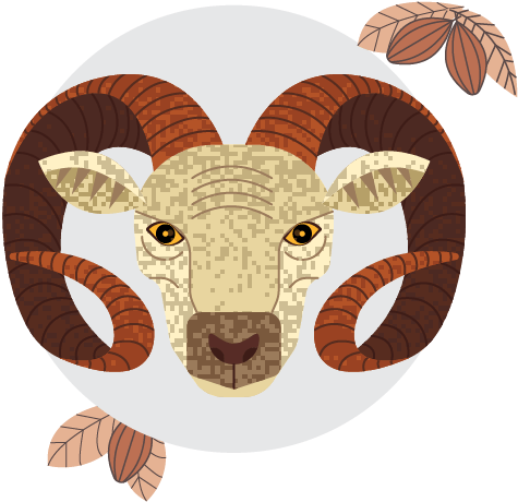 Aries