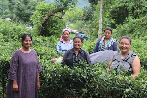 Poorvi from team Herbs & Kettles meeting Yanki and tea pluckers at the tea farm in Rangbang Village