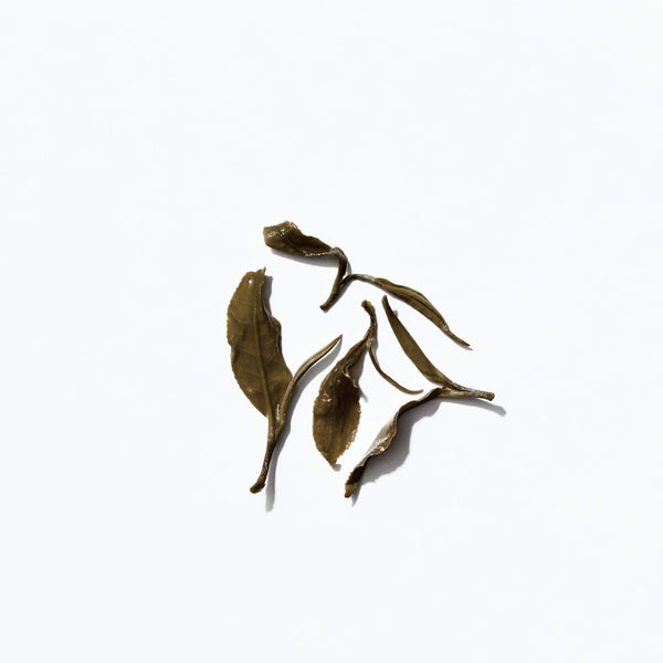 Darjeeling Yellow Tea